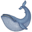 whale2