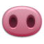 pig_nose